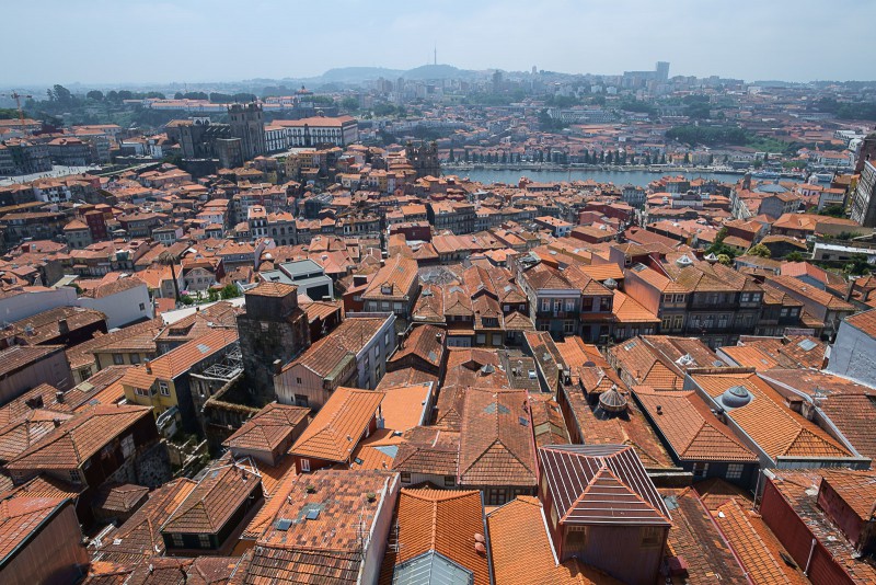 Blick vom Torre dos Clérigos, Porto